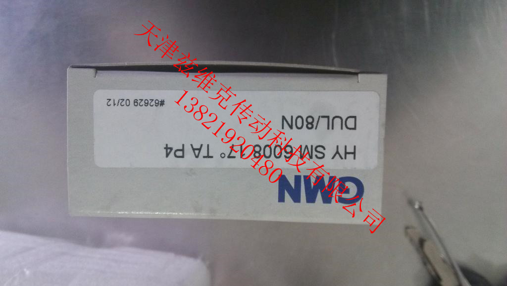 GMN S6209CTAP4DUL軸承